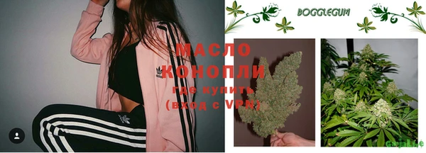 шишки Арсеньев