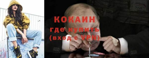 дмт Краснослободск