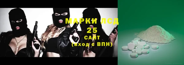 шишки Арсеньев