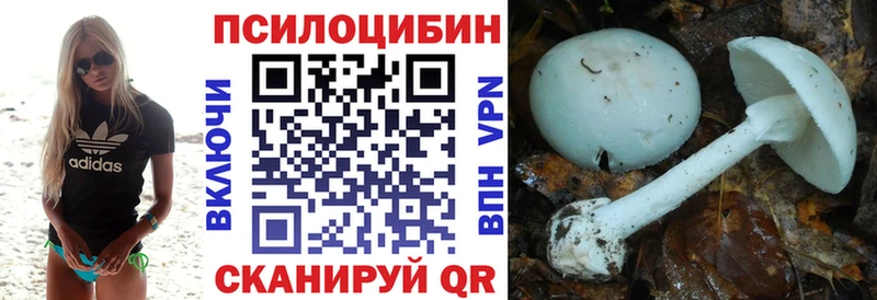 Псилоцибиновые грибы Psilocybine cubensis купить цена Ак-Довурак